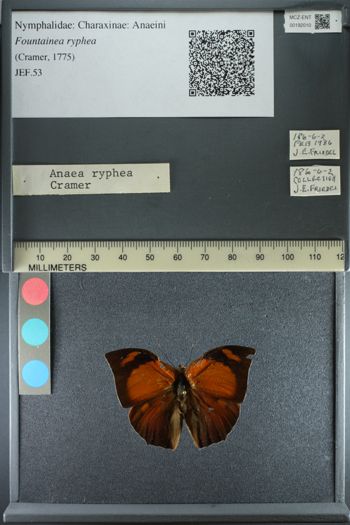 Media type: image;   Entomology 192010